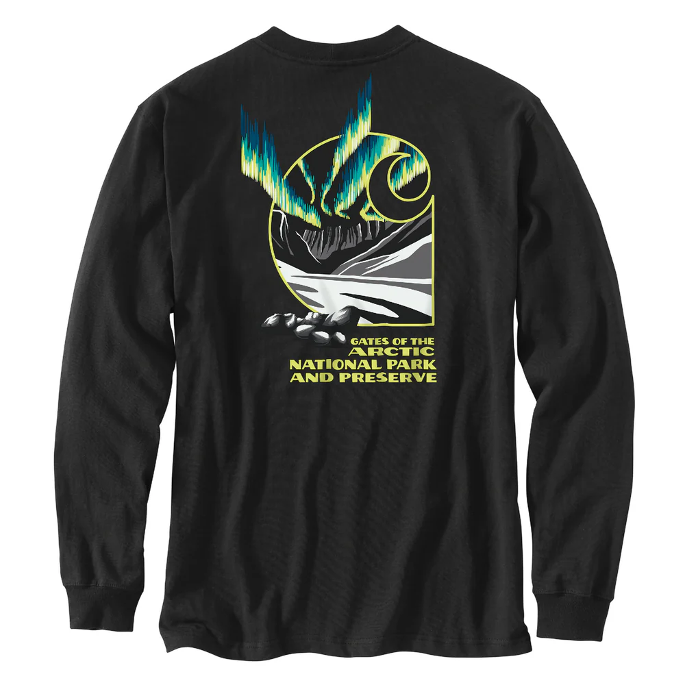 Loose Fit Heavyweight Long-Sleeve Gates of the Arctic National Park Graphic T-Shirt - BLK-Black | Carhartt 106887